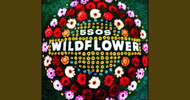 Wildflower Lyrics