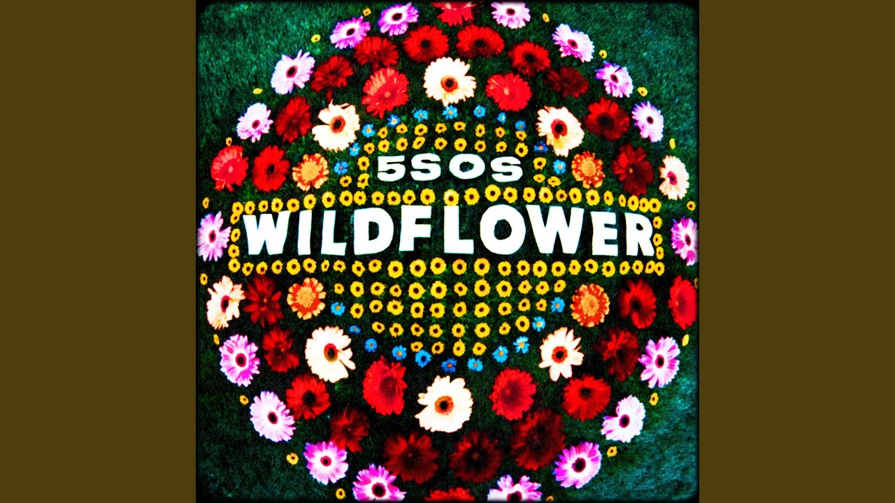Wildflower Lyrics 5 Seconds of Summer LyricsVin