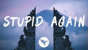 Stupid again lyrics
