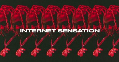 Internet Sensation lyrics