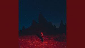 Read more about the article Graceland Too Lyrics  –  Phoebe Bridgers