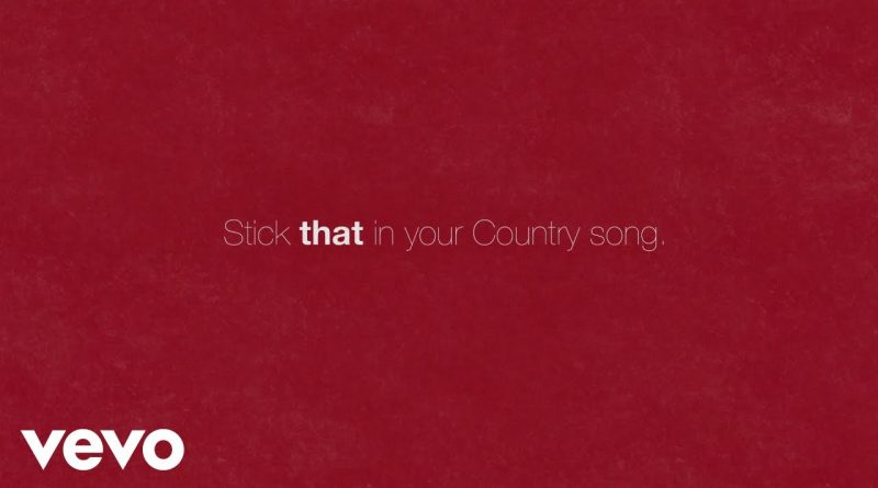 Stick That In Your Country Song lyrics 1