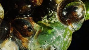 Normal-People-Lyrics