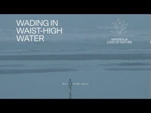 Wading-in-Waist-High-Water-Lyrics