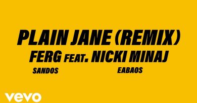 Plain-Jane--Remix--Lyrics