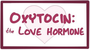 Oxytocin-Lyrics