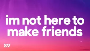 I’m-Not-Here-To-Make-Friends-Lyrics