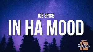 ​in-ha-mood-Lyrics