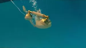 Slow-Motion-Lyrics-Don-Toliver