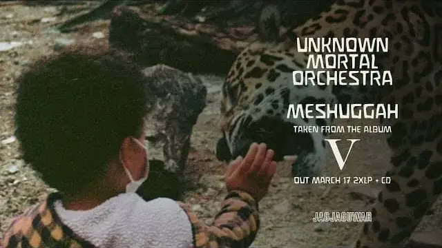 Meshuggah-Lyrics-Unknown-Mortal-Orchestra
