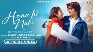 Saaj-Bhatt-HONA-HI-NAHI-Lyrics