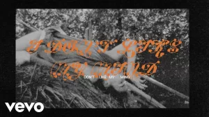 I-Don’t-Like-My-Mind-Lyrics