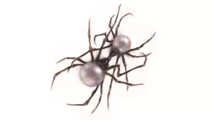 WYM-Freestyle-Lyrics