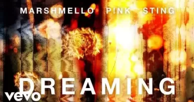 Dreaming-Lyrics-Marshmello-(feat.-P!nk-&-Sting)