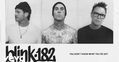 YOU-DON’T-KNOW-WHAT-YOU’VE-GOT-Lyrics-​​blink-182