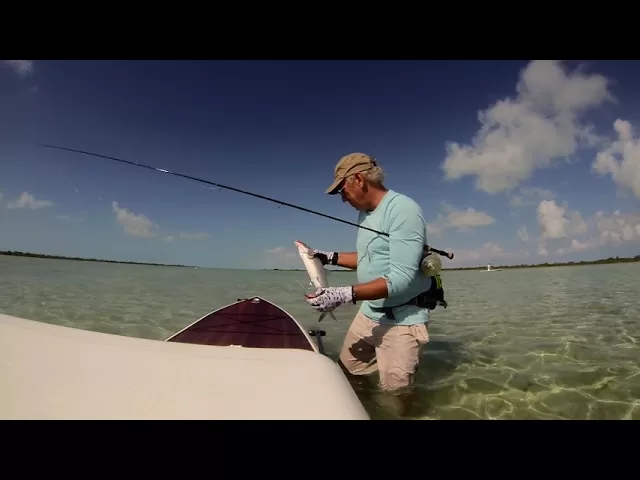 Close Calls Lyrics - Jimmy Buffett 1 Close-Calls-Lyrics-Jimmy-Buffett