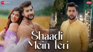 Shaadi-Mein-Teri-Lyrics-Danish-Sabri