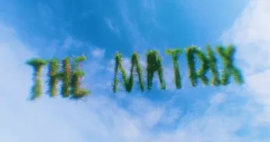 The-Matrix-Lyrics-Mother-Mother