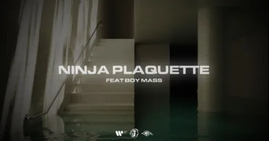 NINJA-PLAQUETTE-Lyrics