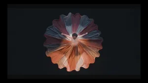 No-Fruits-Or-Vegetables-Lyrics-Lil-Dicky