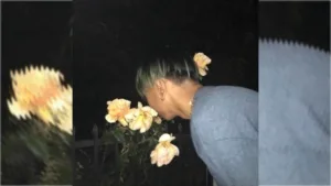 V.A.N-Lyrics-Bad-Omens