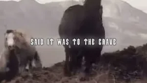 A-Nice-Place-To-Visit-Lyrics-Scrim