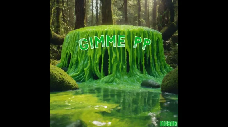 Gimme-Pp-Lyrics-Digbar