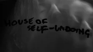 House-Of-Self-Undoing-Lyrics-Chelsea-Wolfe