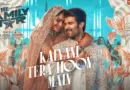 Kalyani-Tera-Hoon-Main-Lyrics-The-Family-Star