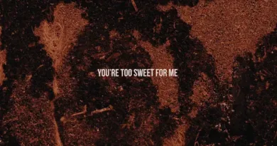 Too-Sweet-Lyrics-Hozier