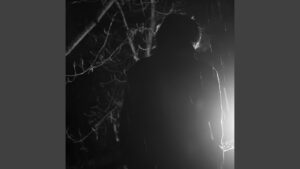 Read more about the article sv moscow Lyrics  –  королевский XVII